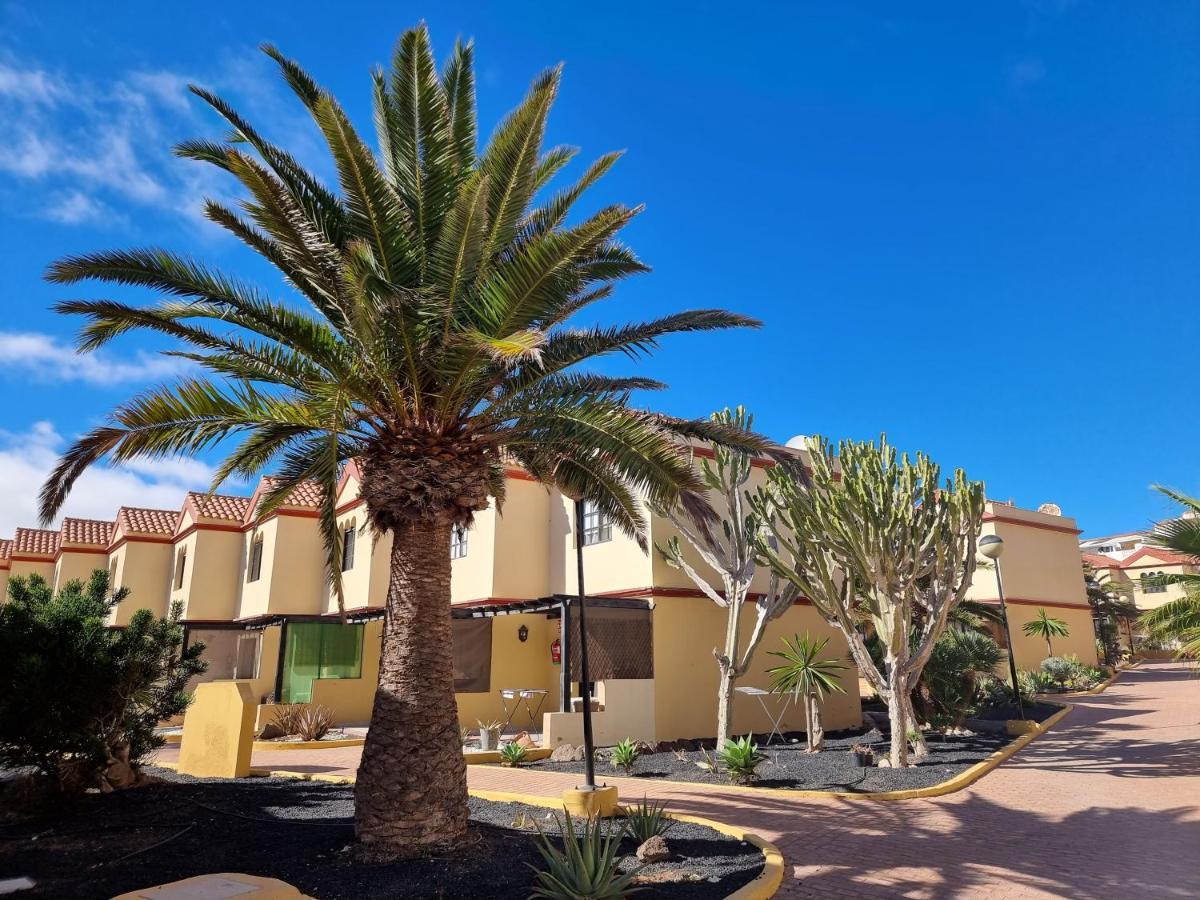 Ocean Forty C Apt. Oasis Fue Apartamento Costa Calma
