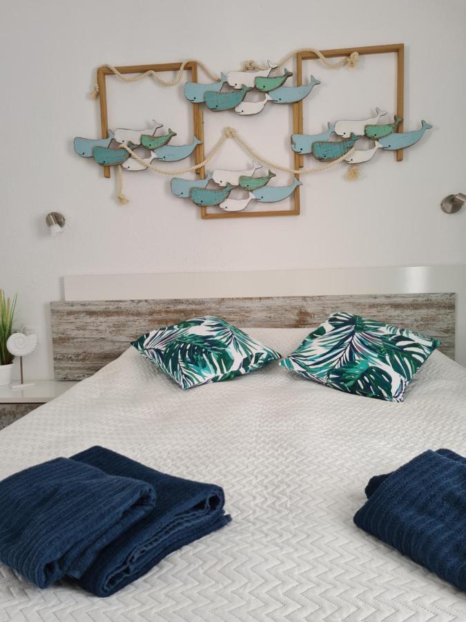 Ocean Forty C Apt. Oasis Fue Costa Calma